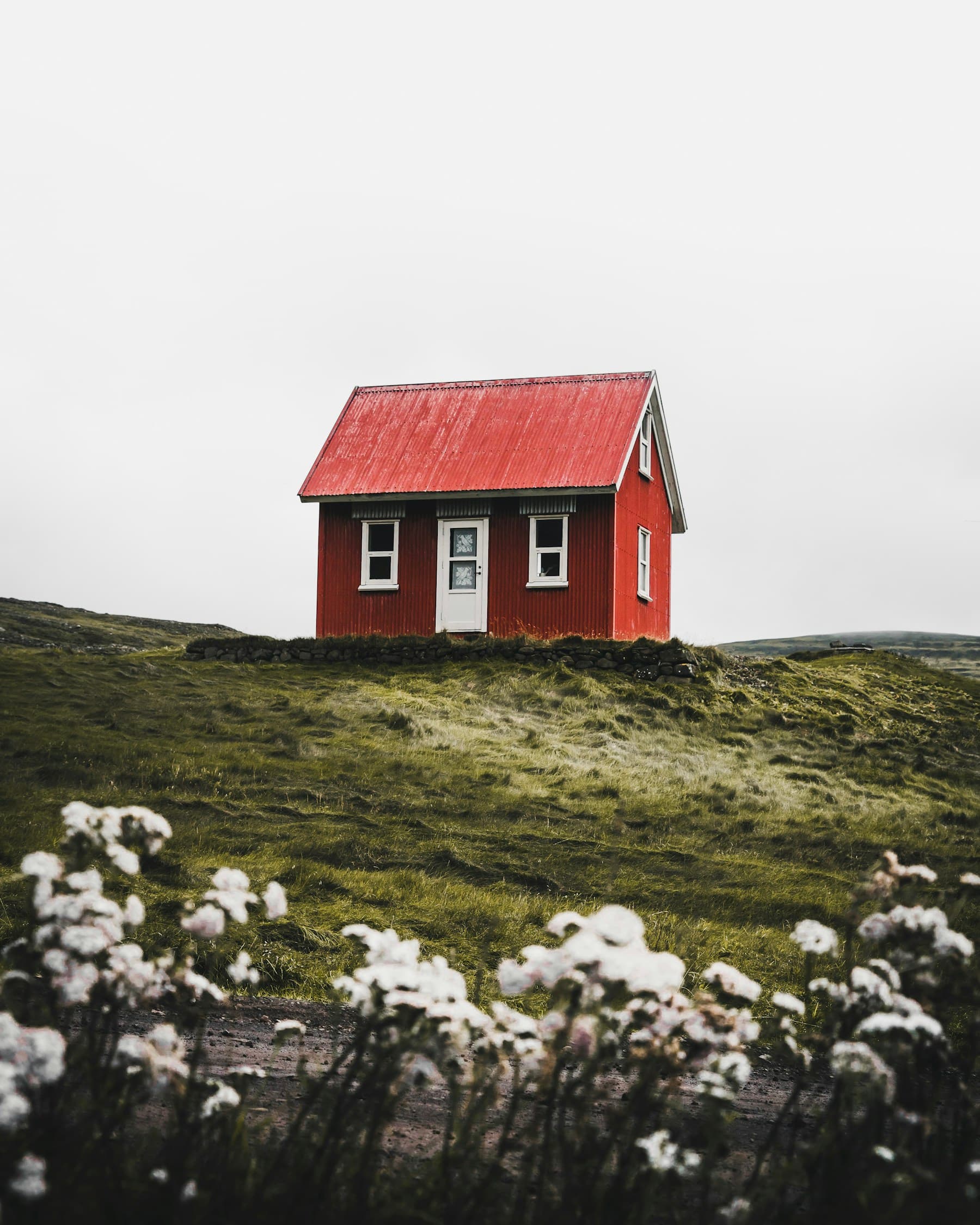 Cabin architecture at the forest edge