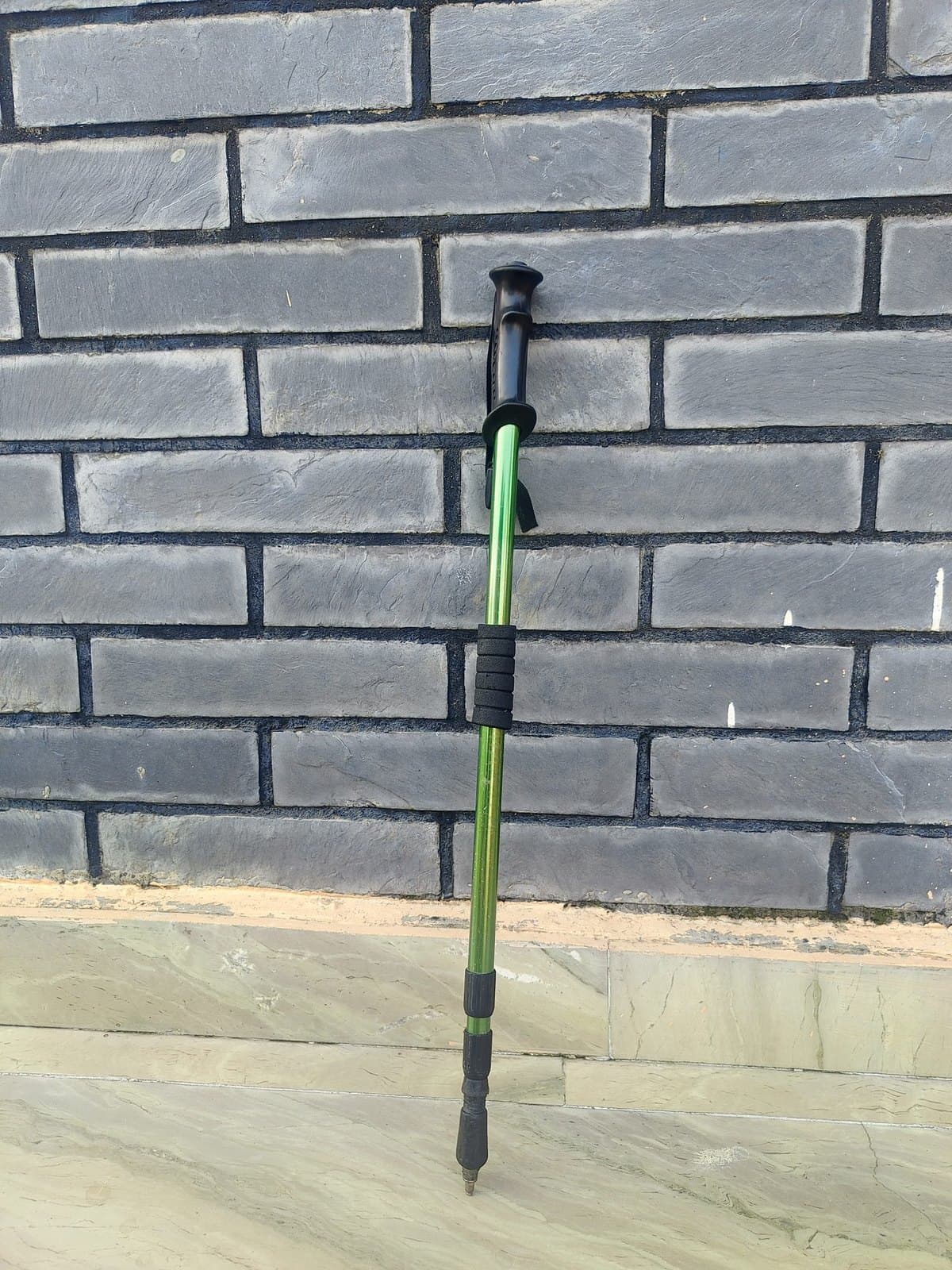 Cascade Trekking Poles