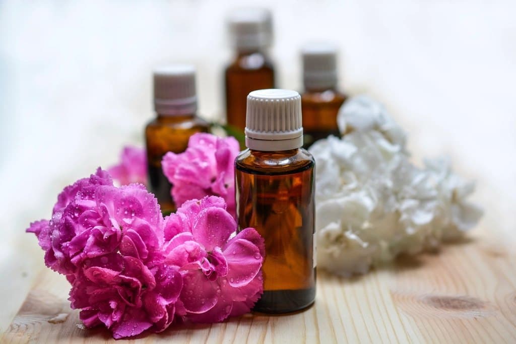 Forest Essential Oil Set