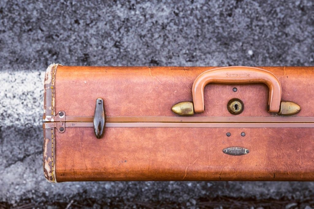 Passline Travel Case