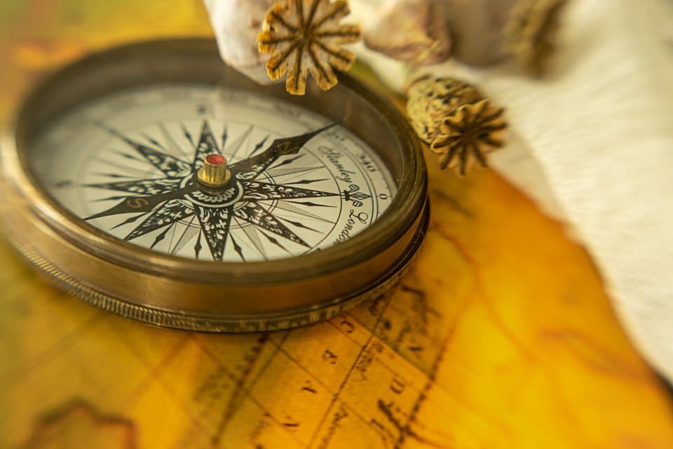 True North Field Compass